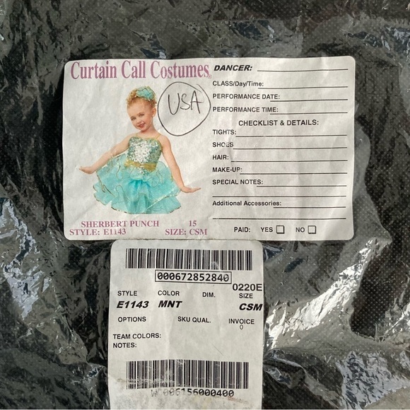 Custom Made Ballerina/Dancer Costume - Picture 10 of 11